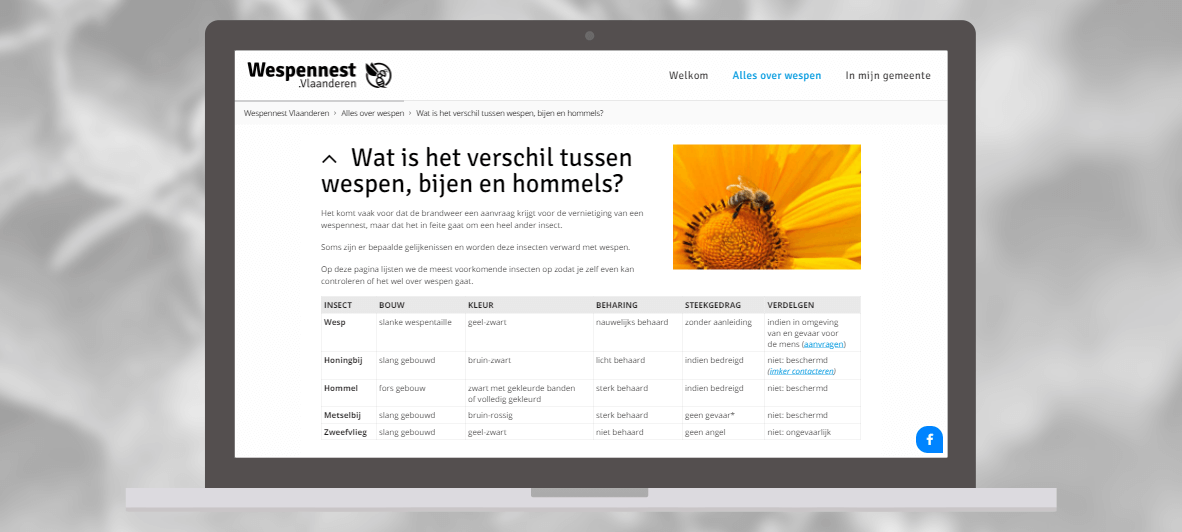 Wespennest Vlaanderen